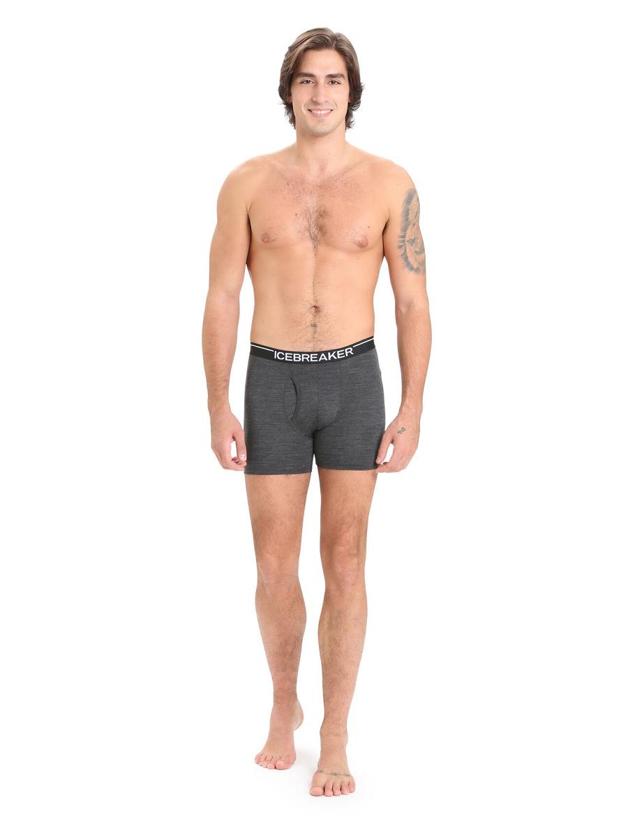 Men's Icebreaker Merino Anatomica Boxers With Fly Underwear Jet Heather | CA 1639GSOL